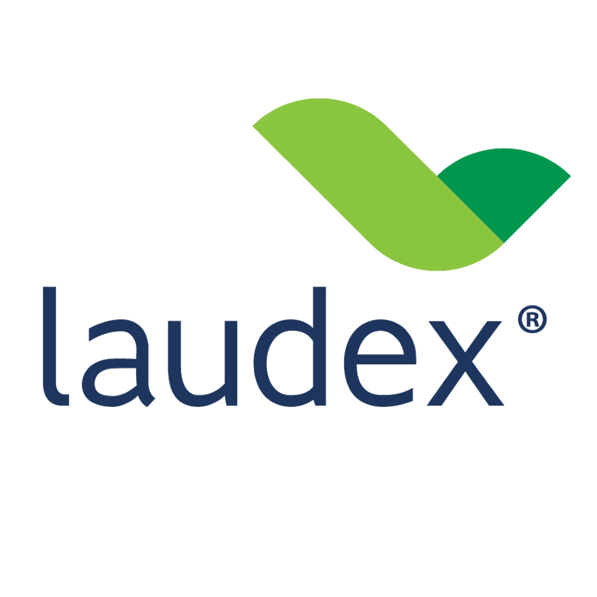 logo-laudex